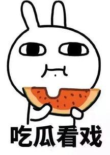 焦点吃瓜,揭秘娱乐圈幕后真相，带你领略明星们的真实生活  第2张