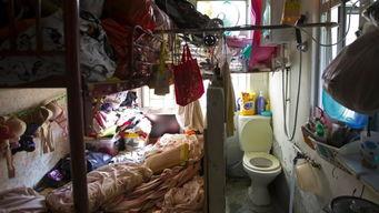 吃瓜群众在香港 第2张 吃瓜群众在香港 第2张