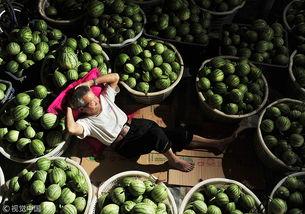 成都崇州吃瓜事件,一场网络热议背后的真相与反思  第2张