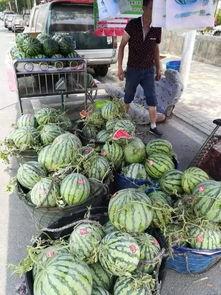 成都崇州吃瓜事件,一场网络热议背后的真相与反思  第3张