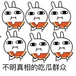 哈哈吃瓜表情包可爱,哈哈吃瓜表情包的可爱魅力  第2张