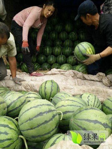 禹城最新吃瓜新闻,最新吃瓜新闻揭秘幕后真相！  第1张