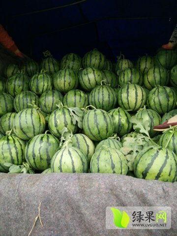 禹城最新吃瓜新闻,最新吃瓜新闻揭秘幕后真相！  第3张