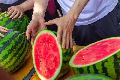 广艺大学吃瓜,揭秘校园里的那些事儿  第1张