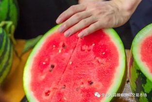 广艺大学吃瓜,揭秘校园里的那些事儿  第2张