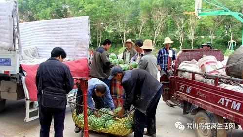 镇上吃瓜群众,揭秘本地新鲜事 第1张 镇上吃瓜群众,揭秘本地新鲜事 第1张