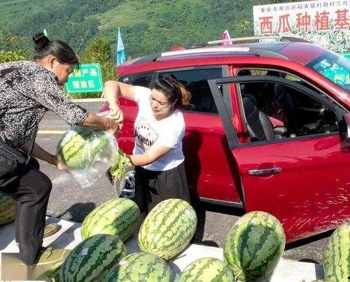 镇上吃瓜群众,揭秘本地新鲜事 第3张 镇上吃瓜群众,揭秘本地新鲜事 第3张