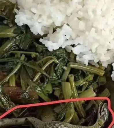 吃瓜吃出阴影,揭秘“吃瓜阴影”背后的心理奥秘 第3张 吃瓜吃出阴影,揭秘“吃瓜阴影”背后的心理奥秘 第3张