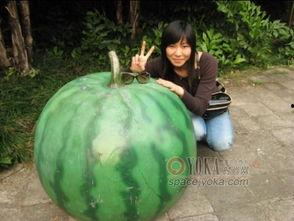 我要看吃瓜不能吃,吃瓜群众如何做到边看边享，不吃瓜也能过瘾  第2张