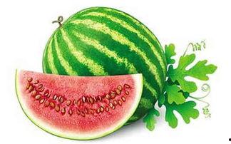 我要看吃瓜不能吃,吃瓜群众如何做到边看边享，不吃瓜也能过瘾  第3张