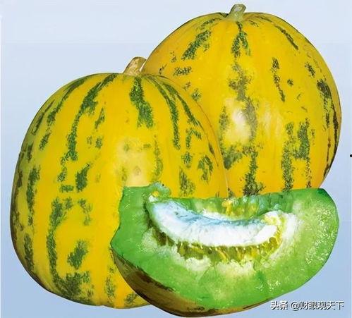 吃瓜的标准,揭秘娱乐圈幕后真相的神秘力量  第3张