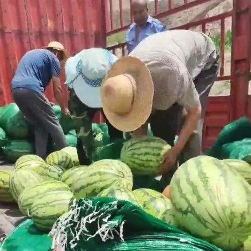 吃瓜爆料区,吃瓜爆料区带你直击明星幕后真相  第1张