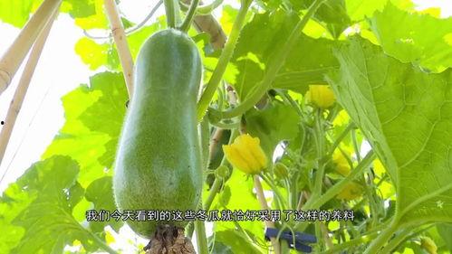 吃瓜爆料区,吃瓜爆料区带你直击明星幕后真相  第2张