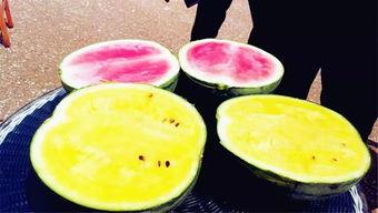 吃瓜爆料区,吃瓜爆料区带你直击明星幕后真相  第3张