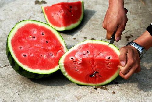 襄城县吃瓜  第1张