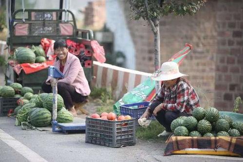 襄城县吃瓜  第3张