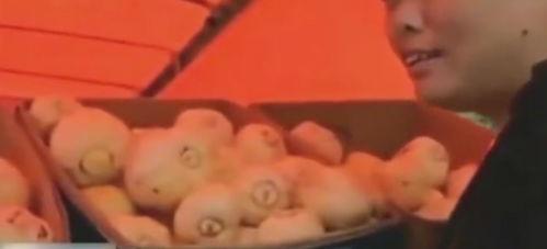 买瓜吃犯法吗  第3张