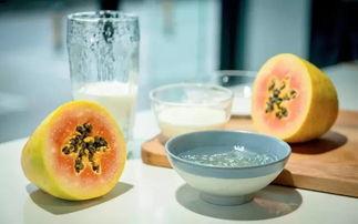 牛奶吃瓜小说,一场别开生面的小说之旅  第1张