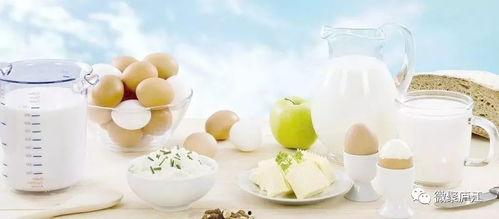 牛奶吃瓜小说,一场别开生面的小说之旅  第2张