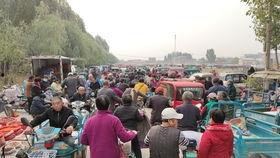 为什么吃瓜热闹,揭秘“吃瓜群众”热衷围观背后的心理奥秘  第2张