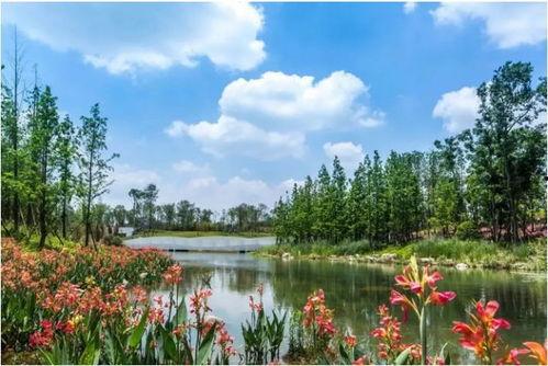 天府公园吃瓜视频大全,吃瓜视频大全带你领略夏日风情  第2张