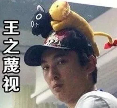 吃瓜女壮士,揭秘网络红人的崛起之路  第3张