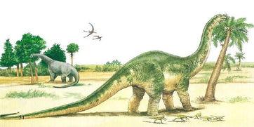 恐龙吃瓜手机壳,趣味与时尚的完美结合  第1张