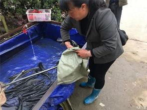 五一潮阳吃瓜群众,吃瓜群众的热闹盛宴  第2张