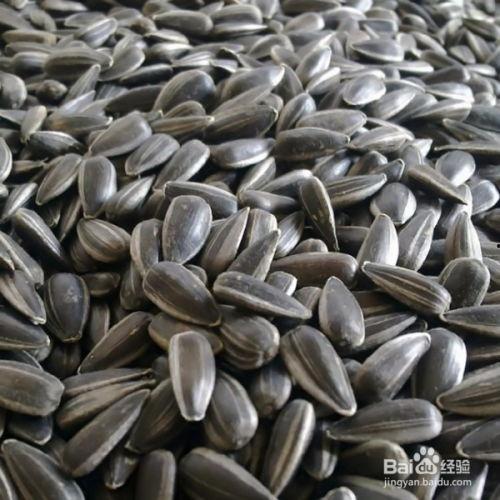 吃瓜子吃瓜数学题,吃瓜数学题挑战你的脑力极限  第2张