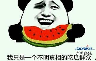 闯关吃瓜场面描写,闯关吃瓜的欢乐盛宴  第3张